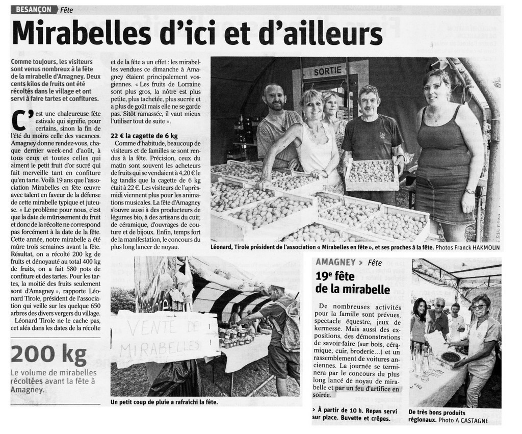 Article de presse arti-show artifice artificier mariage