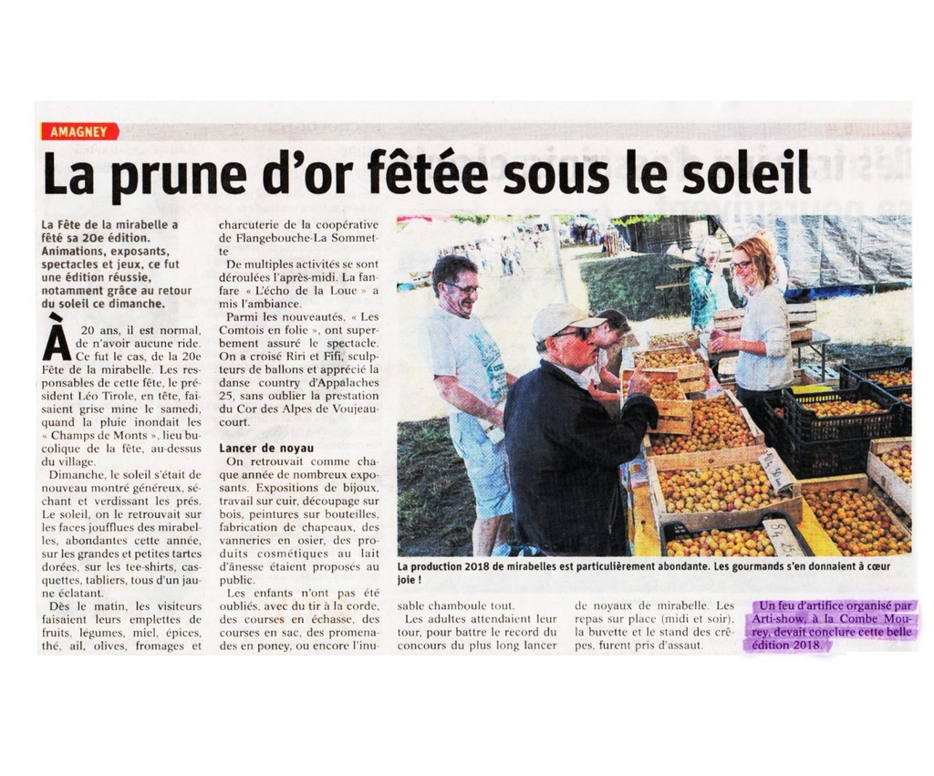 Article de presse arti-show artifice artificier mariage