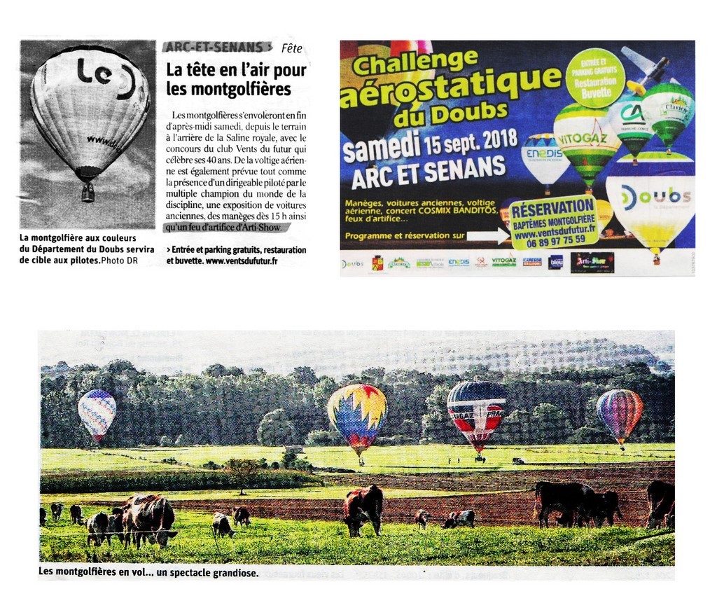 Article de presse arti-show artifice artificier mariage