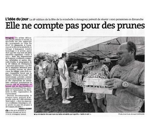 presse arti show