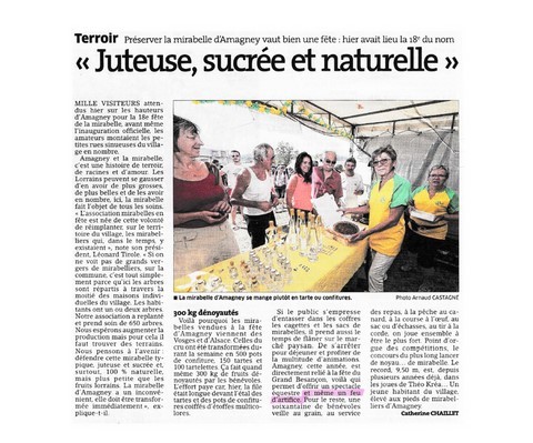 presse arti-show