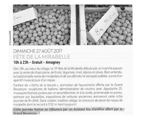Article de presse arti-show artifice artificier mariage
