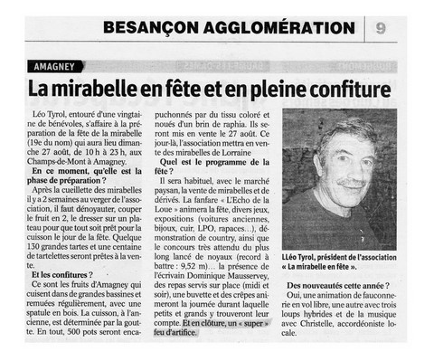 Article de presse arti-show artifice artificier mariage