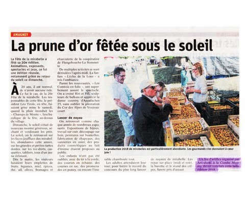 Article de presse arti-show artifice artificier mariage