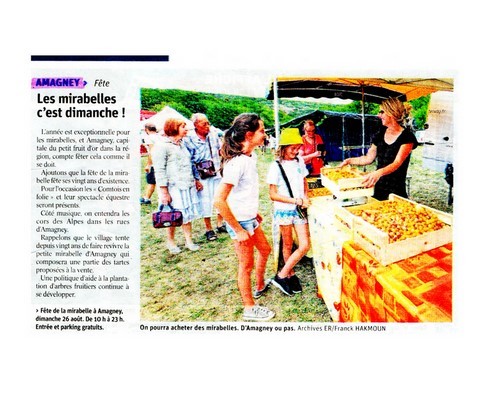 Article de presse arti-show artifice artificier mariage