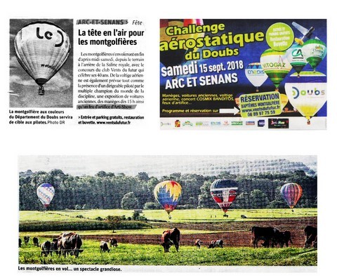 Article de presse arti-show artifice artificier mariage