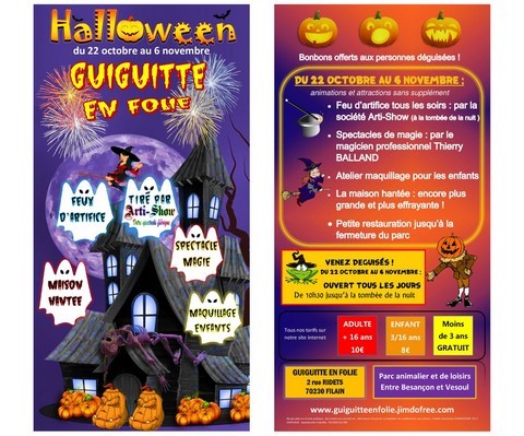 arti-show feu artifice guiguitte en folie