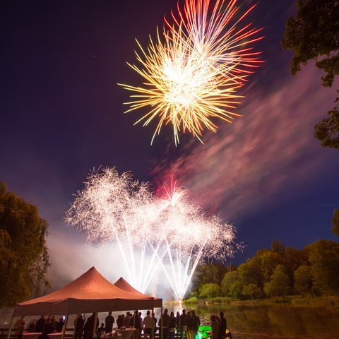 photo feu artifice arti-show artificier mariage franche-comte